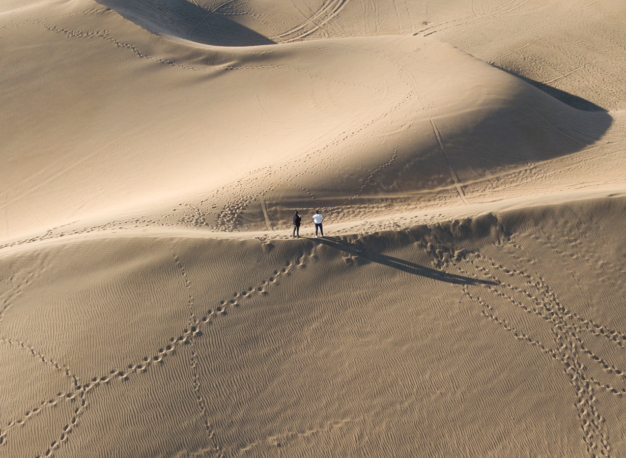Two men standing a vast desert of sand dunes. Implying the challenge of searching for the right CEO. Watson Inc.