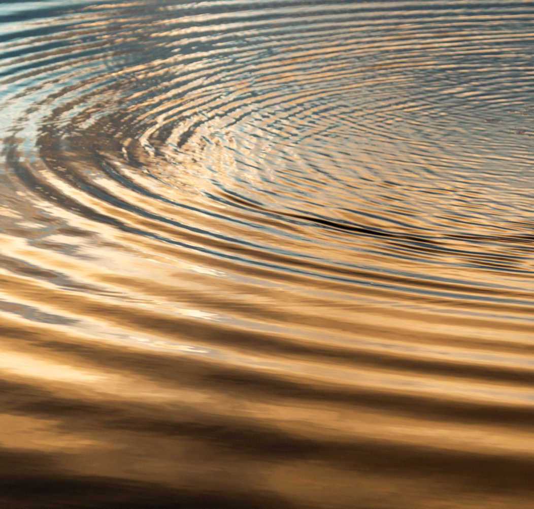 A ripple on a pond. Denoting impact. Watson Inc.
